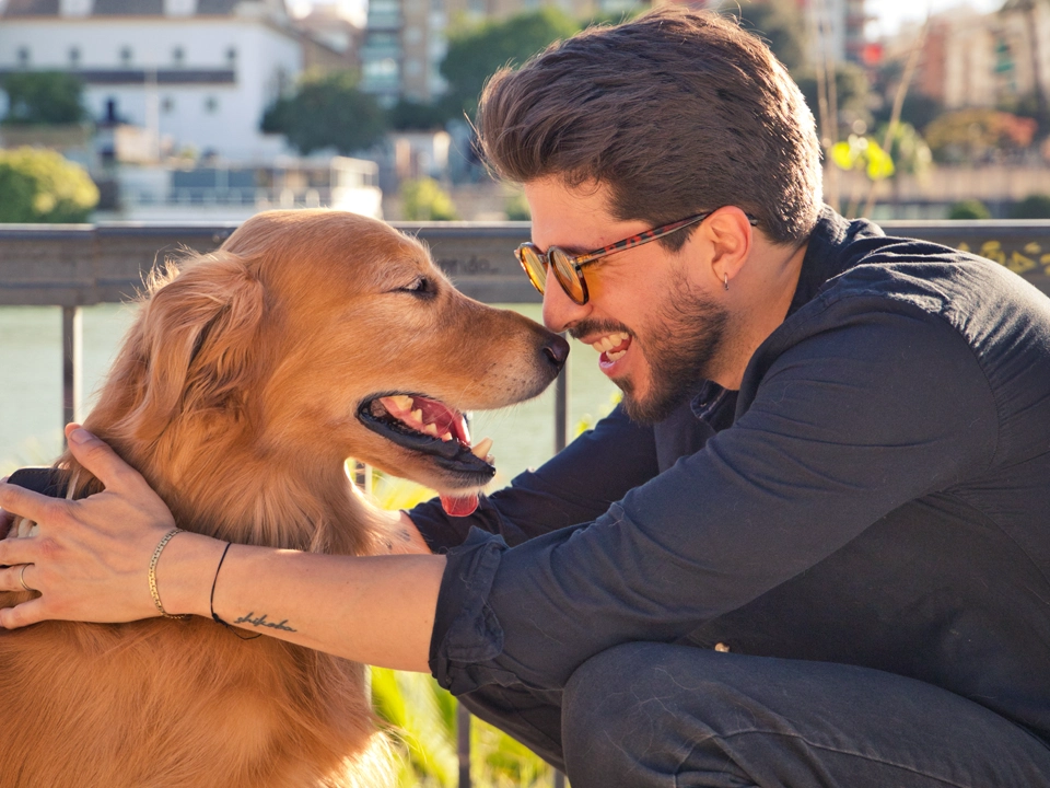 Communiquer avec son chien